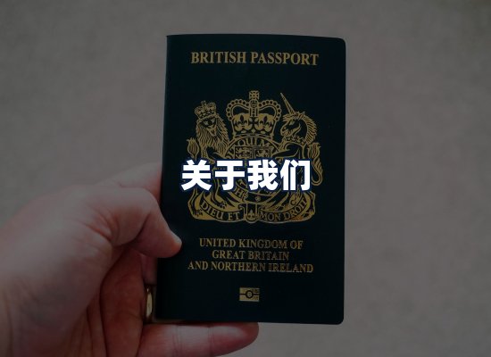 关于我们